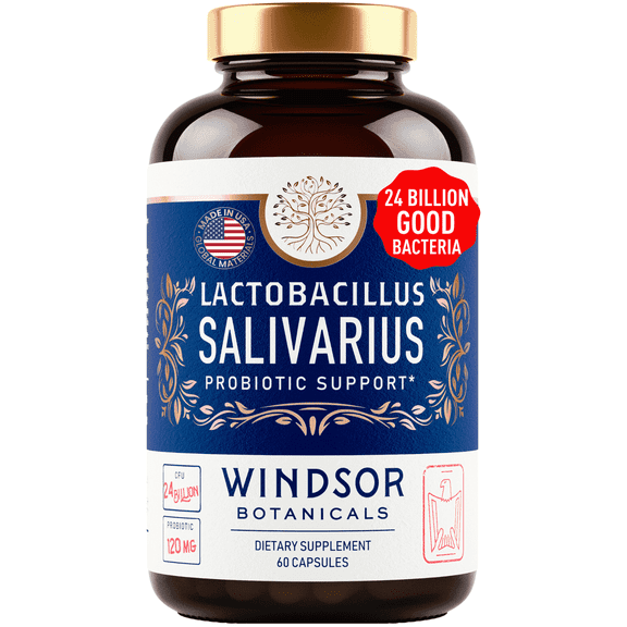 Windsor Botanicals Lactobacillus Salivarius 24bn CFU Probiotic  - 60 Caps