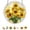 #002, variant on Puzzle Pendant Ornament 3D Craft, Acrylic Jigsaw Puzzle Suncatcher, 7.8in Sun Catcher Puzzle Wall Hanging Family Game for Kids Adults #002