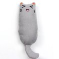 thumbnail image 3 of 2PCS Catnip Toy Creative Bite-resistant Cartoon Cat Chew Toy Cat Teething Toy, 3 of 10