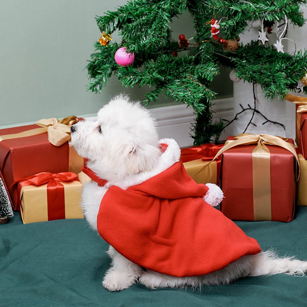 Buy Girls'love talk 2 pieces Christmas Cat Clothes, Pet Christmas Cloak  Costume Adjustable Cute Santa Pet Cape with Christmas Hat Xmas Outfit for  Cats and Dogs Online at desertcartINDIA