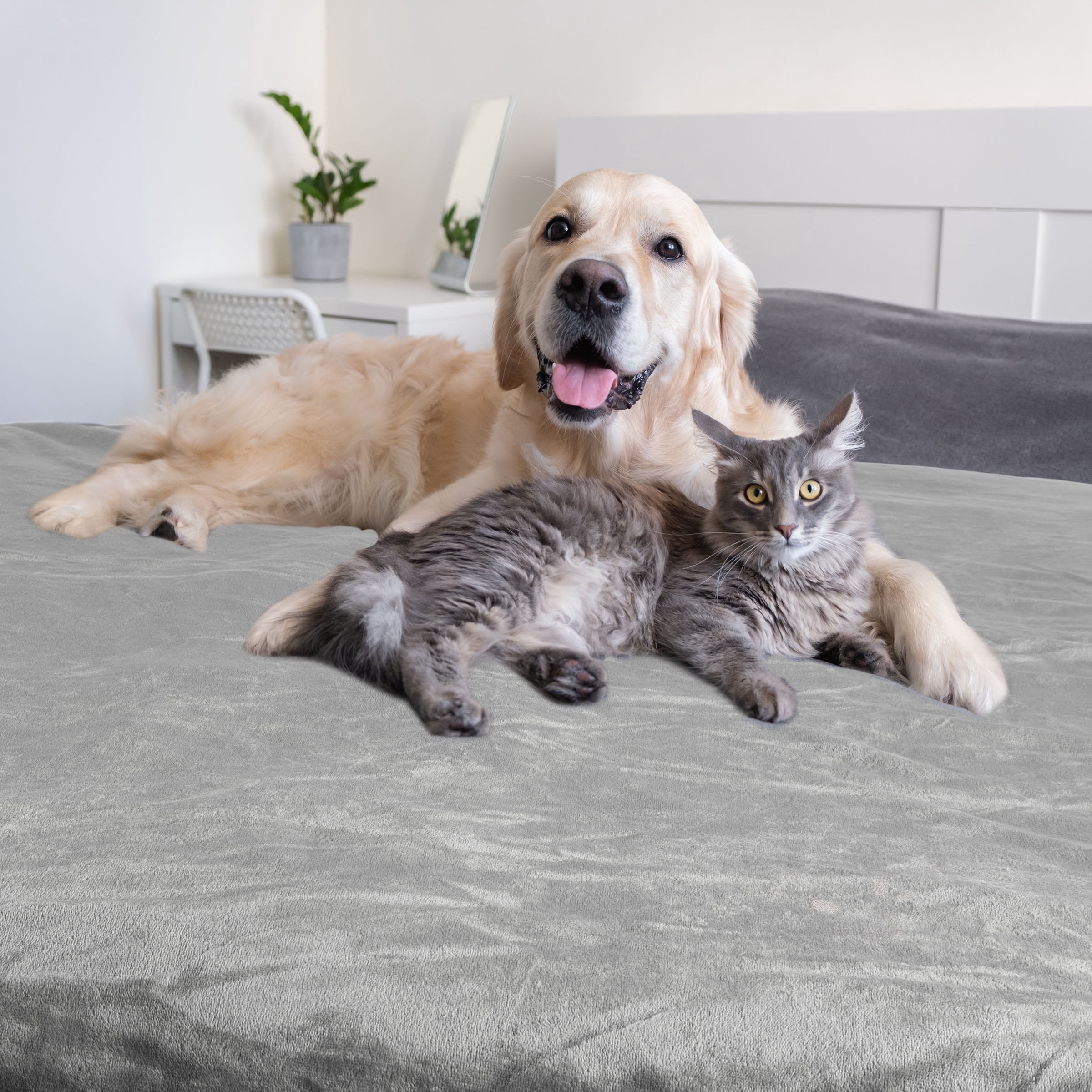 PETMAKER Dog Blanket - 60x80in Sherpa Blanket for Bed, Couch, or Car (Gray)