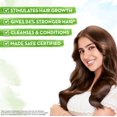 thumbnail image 2 of Mamaearth Rosemary Hair Fall Control Kit,650ml, 2 of 4