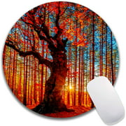 Autumn Trees Mouse Pad, Waterproof Circular Small Round Mousepad Non-Slip Rubber Base MousePads for Office Home Laptop,