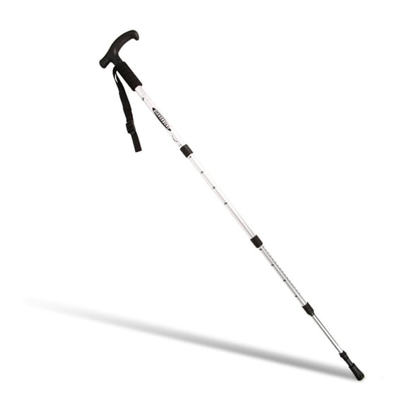 Canne De Marche Luxe En Inox Argent - Poignée Laiton - Fabriquée Main (Inde) - Cadeau Homme
