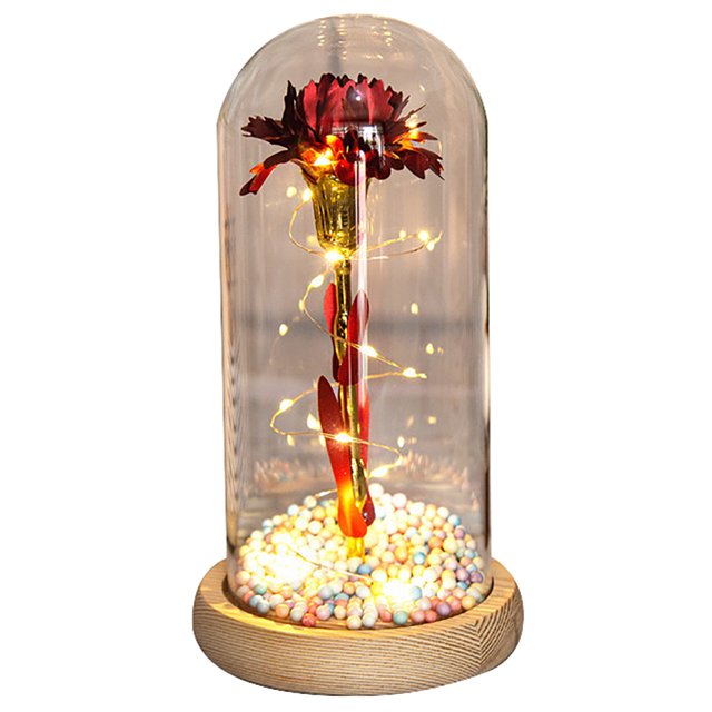 Coofit Glass Carnation Flower Cute: Flower in Glass Dome LED Flower Dome for Mother Day