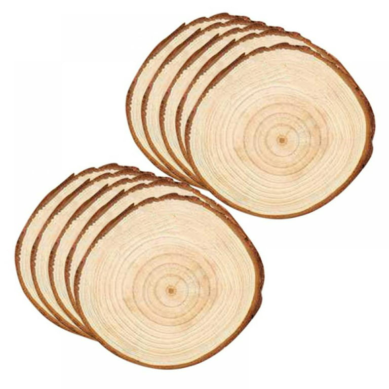 Unfinished Natural with Tree Bark Wood Slices 10 Pcs Wood Coasters Craft  Circles