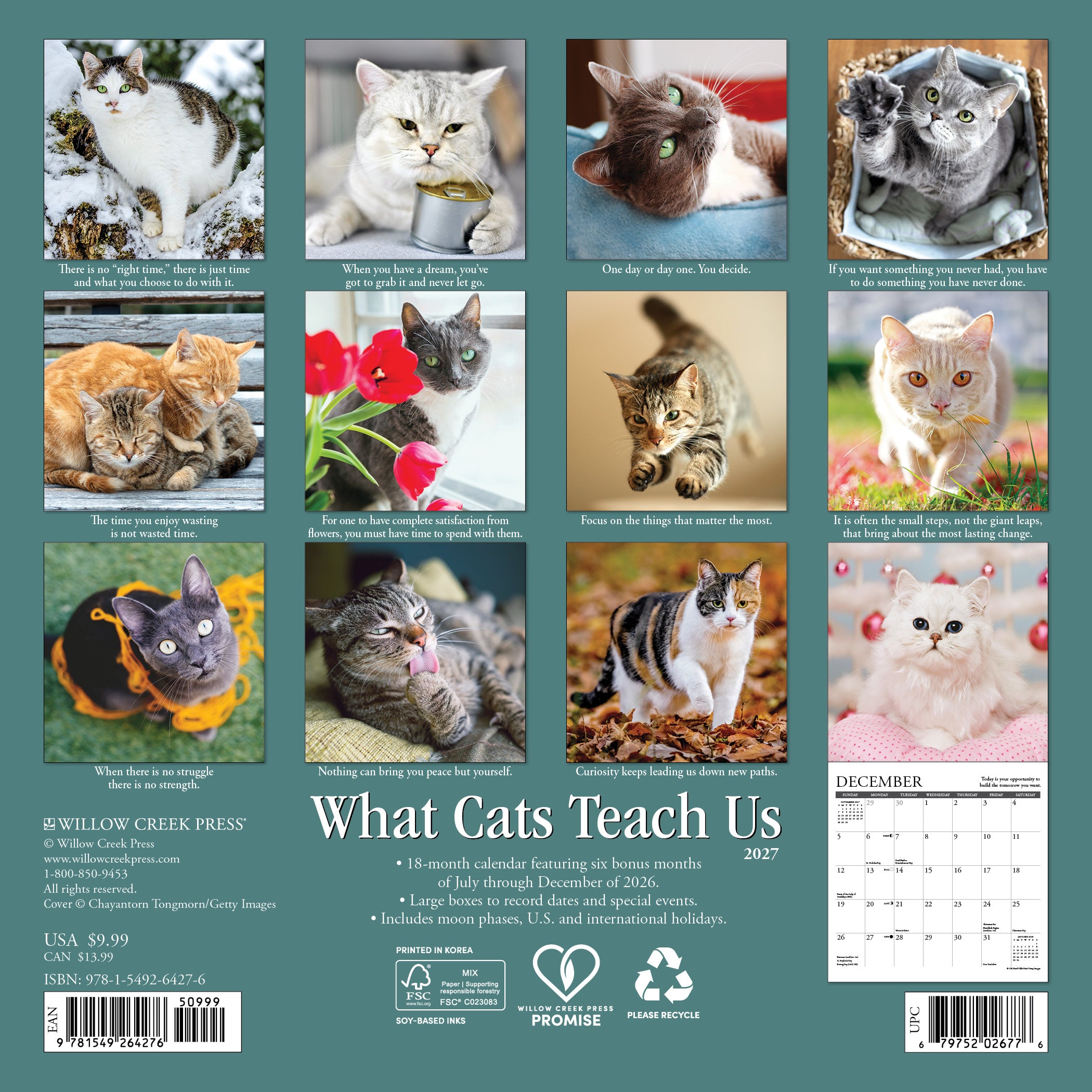 Willow Creek Press, What Cats Teach Us 2027 Mini Wall Calendar