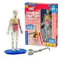 thumbnail image 1 of Thames & Kosmos Ooze Labs: Visible Human Body With Squishable Organs, 1 of 3