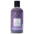 thumbnail image 1 of Shampoo para Cabello Anti-Piojos 250 ml, 1 of 1