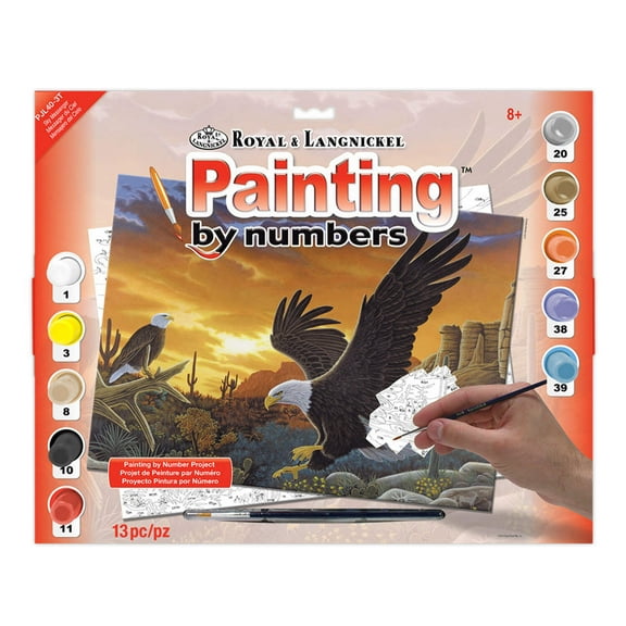 Royal & Langnickel Painting by numbers™ 13pc Sky Messenger Painting Project