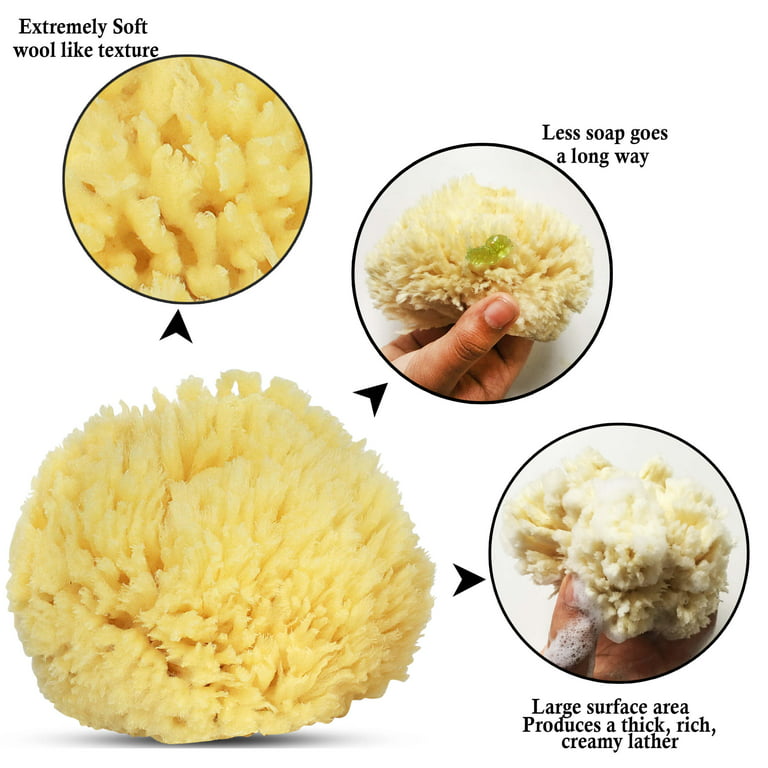 Premium Sea Wool Sponge