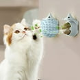 thumbnail image 3 of Hedgehog Dabber Catnip Balls Cat Toy - Plastic Interactive Teething Tickler for Cats, Natural Plant Extracts, Indoor Dental Health, 3 of 6
