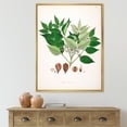 thumbnail image 2 of Designart 'Ancient Plant Life XII' Farmhouse Framed Canvas Wall Art Print, 2 of 5