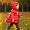 thumbnail image 4 of Chiccall Toddler Kids Cute Dinosaur Quilted Winter Coat Boys Girls Hooded Zip Padded Jacket Outerwear for Boys Girls Red 7-8 Years, 4 of 10