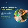 thumbnail image 5 of 2 Hounds Design Freedom Arnés para perro sin tirones con correa, verde Kelly, grande (1"), 5 of 5