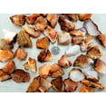 thumbnail image 2 of Raw Carnelian Crystals Bulk Wholesale Rocks for Tumbling Healing Décor Accents, 2 of 5