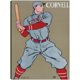 thumbnail image 1 of Cuadro Decorativo - Béisbol de Cornell, 1 of 3