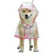 thumbnail image 1 of Abrigo impermeable para perros y gatos pequeños, con capucha, ajustable, en PVC, transparente y ultraligero borde rosa M Kuyhfg Bienvenido a Kuyhfg, 1 of 4