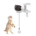 thumbnail image 1 of Hh New Electric Cat Toy Funny Cat Teaser Ball Toy Automatic Lifting Spring Rod Yo-yo Lifting Ball Interactive Puzzle Smart Pet Toys, 1 of 4