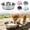 C, variant on Stainless Steel Dog Bowls 10.24 Inch Large, Anti Rust Metal Non Slip Rubber Base Heavy Duty Feeding Dish, Food and Water Bowl for Large Dogs Cats Indoor Outdoor Pet Supplies Feeder