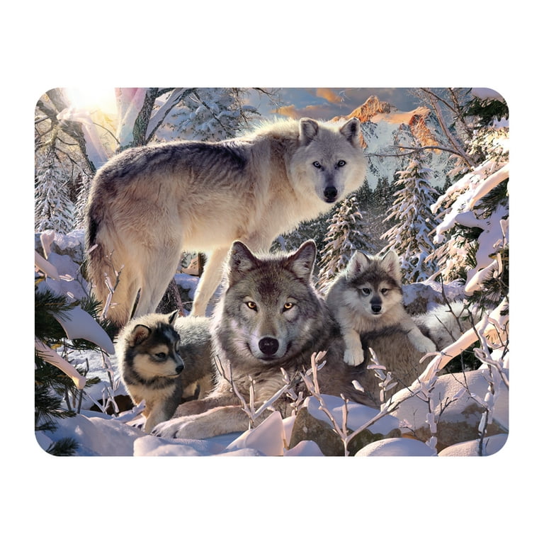 Fox Magnet, Magnets, Fox Gifts