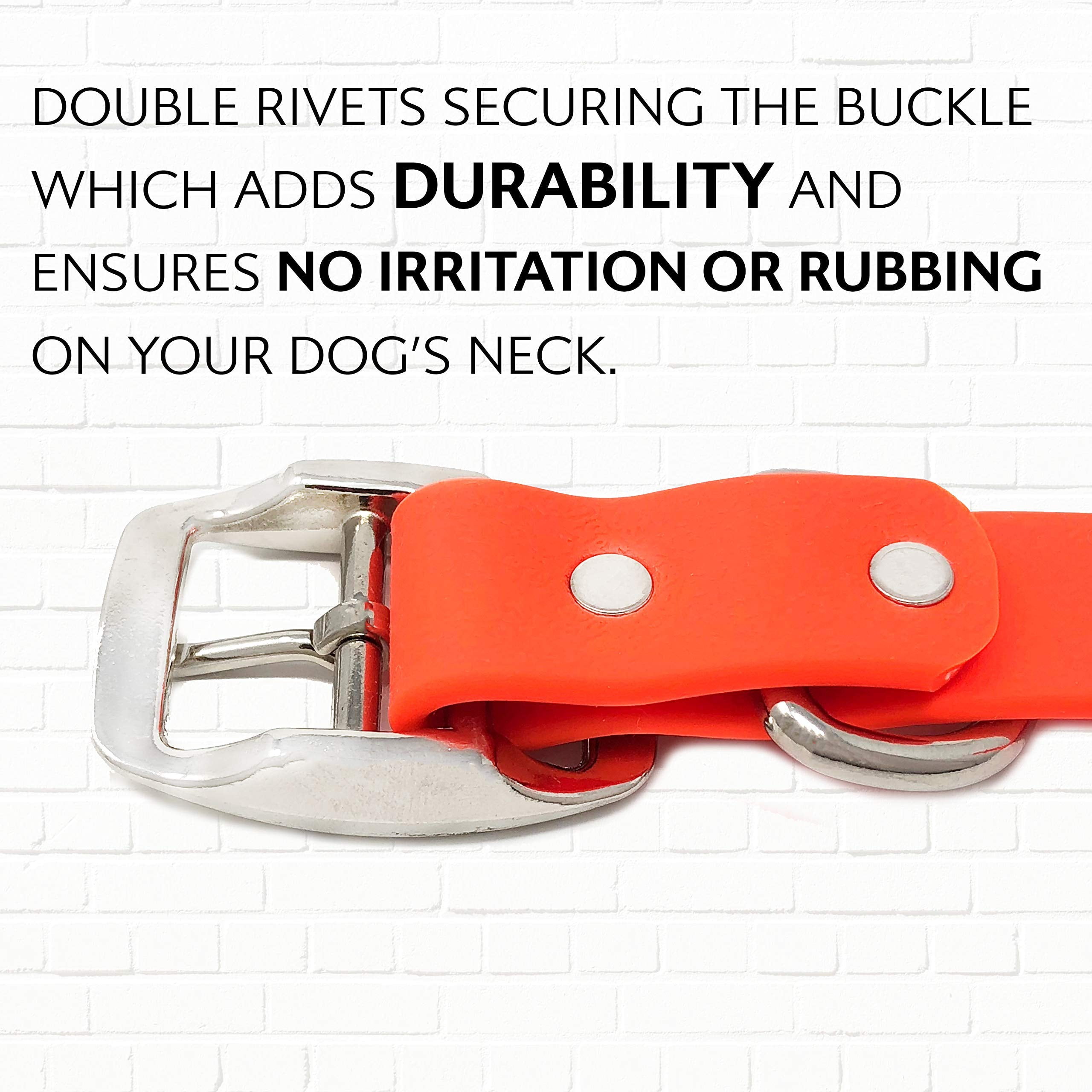 Regal Dog Products Waterproof Collar with Double Buckle and D Ring