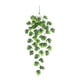 thumbnail image 1 of Rattan Cinco Tenedores Hoja De Tortuga Rattan Verde Colgante De Pared Decoración Para Fiestas Colgante, 1 of 7