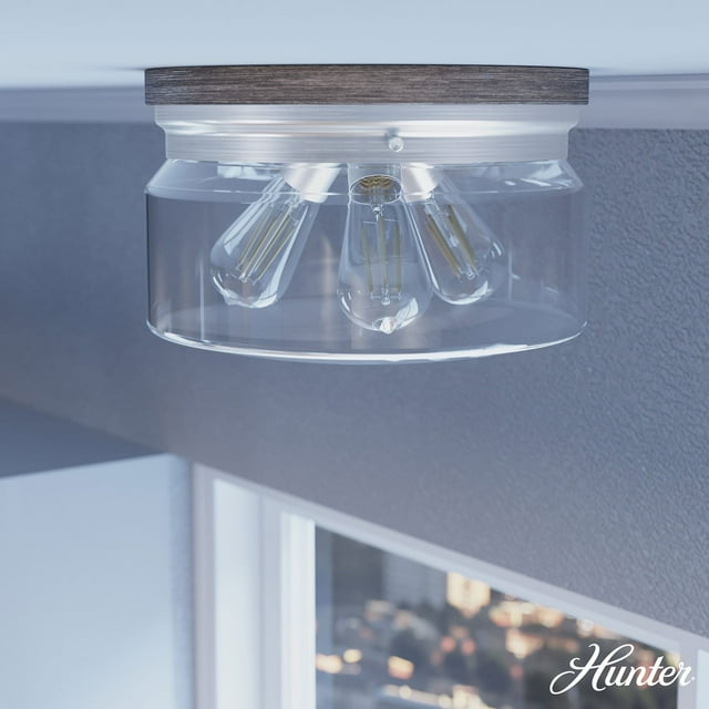 Hunter Devon Park Clear Glass 3 Light Flush Mount Ceiling Light Fixture