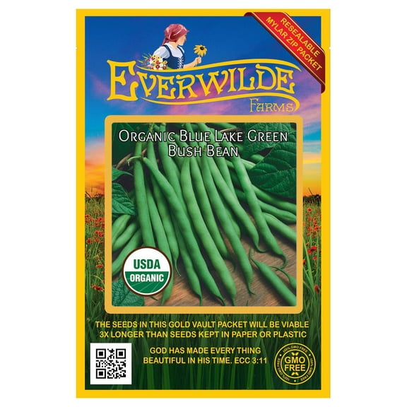 Everwilde Farms - 50 Organic Blue Lake Green Bush Bean Seeds - Gold Vault Jumbo Bulk Seed Packet