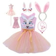 thumbnail image 2 of Vestido de Pascua para niñas pequeñas, vestido de tutú de tul de conejo bonito con orejas rosadas, disfraz de conejito de Cosplay para bebés y niños, fiesta de carnaval de cumpleaños 160 (10-12T) Gao Jinjia LED, 2 of 2