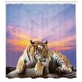 thumbnail image 2 of Safari Decor Shower Curtain Set, Tiger Lying On Wood Branch Blue Sky Colorful Sunset Pose Strpies Claws, Bathroom Accessories, 69W X 70L Inches, By Ambesonne, 2 of 2