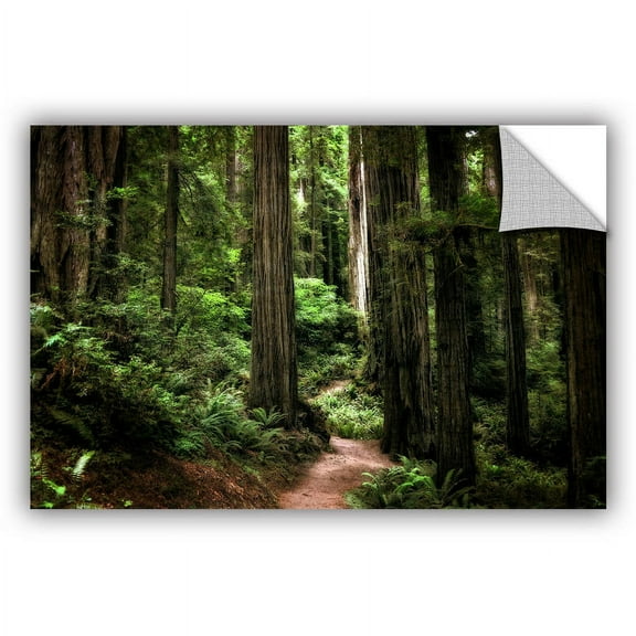 ArtWall Kevin Calkins "Enchanted Path" ArtAppealz Removable Wall Art