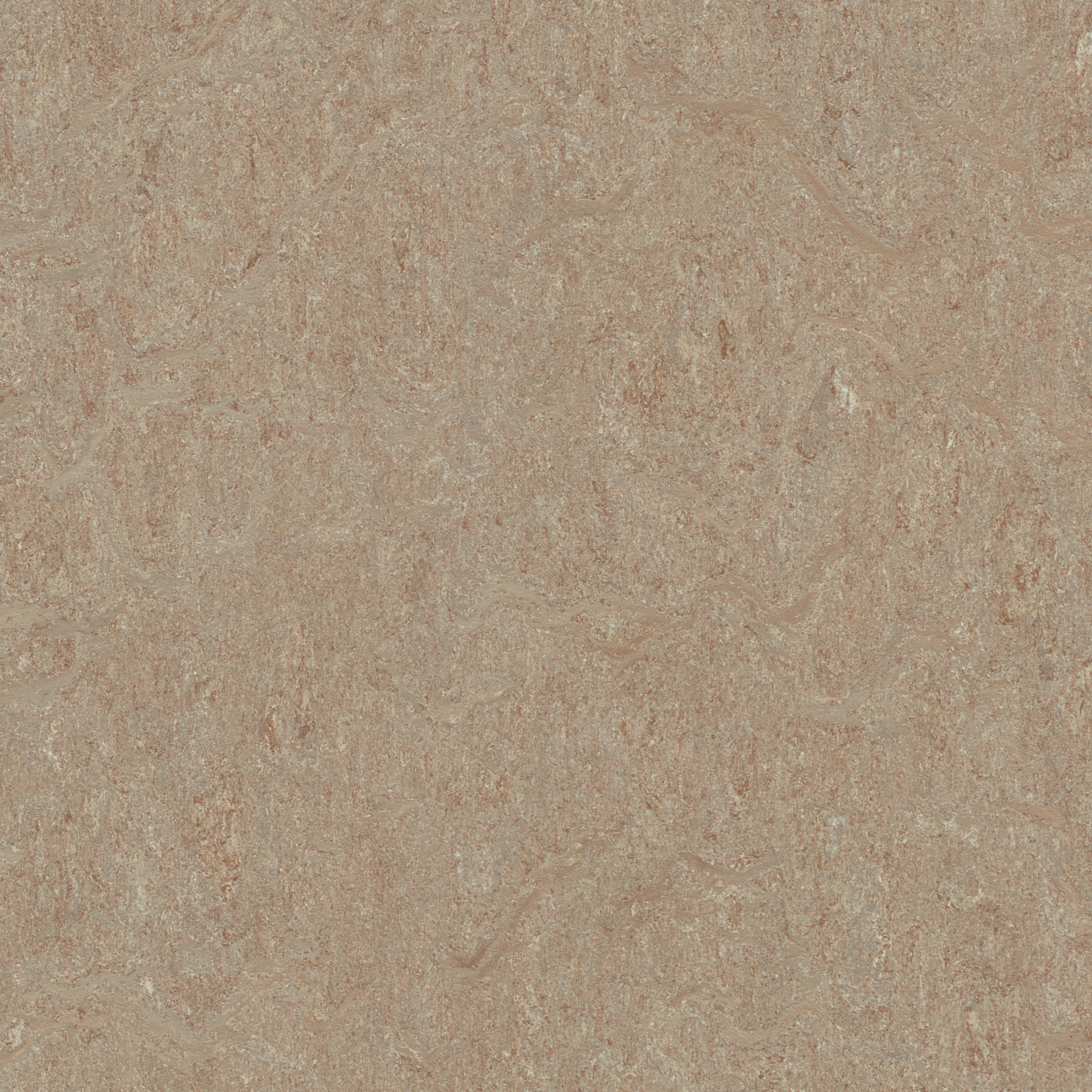 Forbo Flooring Marmoleum Cinch Loc Seal 11.81" x 11.81" Laminate Square in Weathered Sand 6.78 Sq ft