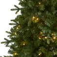 thumbnail image 6 of Nearly Natural 6' Green Fir Artificial Christmas Tree Prelit 250 Clear LED Lights, 6 of 9
