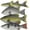 Fish Combination B, variant on 4pcs Artificial Fish Lifelike Anima Model Fake Yellow Croaker Trout Realistic Snapper Halloween Thanksgiving Home Party Kitchen Decoration Food Display Photo Props