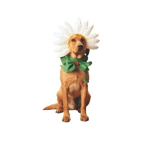 Dogs Daisy Costume