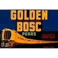 thumbnail image 3 of Retrolabel 14x11 Black Modern Framed Museum Art Print Titled - Golden Bosc Limited Edition Pears, 3 of 5