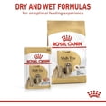 thumbnail image 3 of Royal Canin Shih Tzu in Loaf Dog Wet Food  12 x 85g, 3 of 5