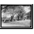 thumbnail image 2 of Historic Framed Print, CHERRY BLOSSOMS IN POTOMAC PARK, WASHINGTON, D.C. AROUND TIDAL BASIN - 2, 17-7/8" x 21-7/8", 2 of 9