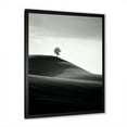thumbnail image 4 of Designart "Desert Scenery In Black And White I" Meadow Picture Framed Wall Decor, 4 of 5