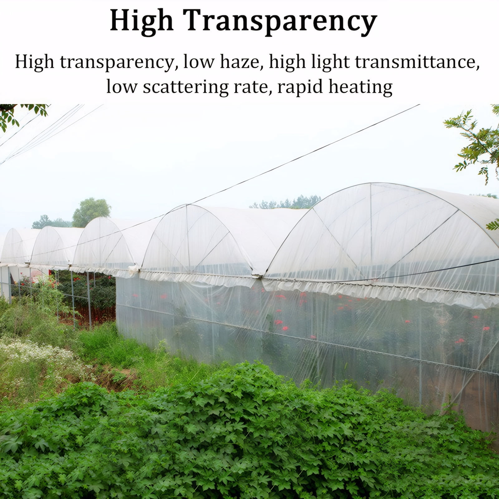 Eurhowing 6.5x20FT Greenhouse Film, 6 Mil Clear Greenhouse Plastic Sheeting, UV Resistant Polyethylene Cover for Plant Growing, Hoop House, Gardening