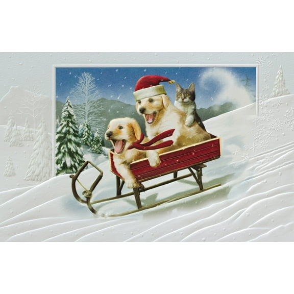 Pumpernickel Press Embossed Christmas Greeting Cards Boxed Set – The Need for Speed, 16 Count