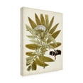 thumbnail image 2 of Vision Studio 'Vintage Charm V' Canvas Art, 2 of 3