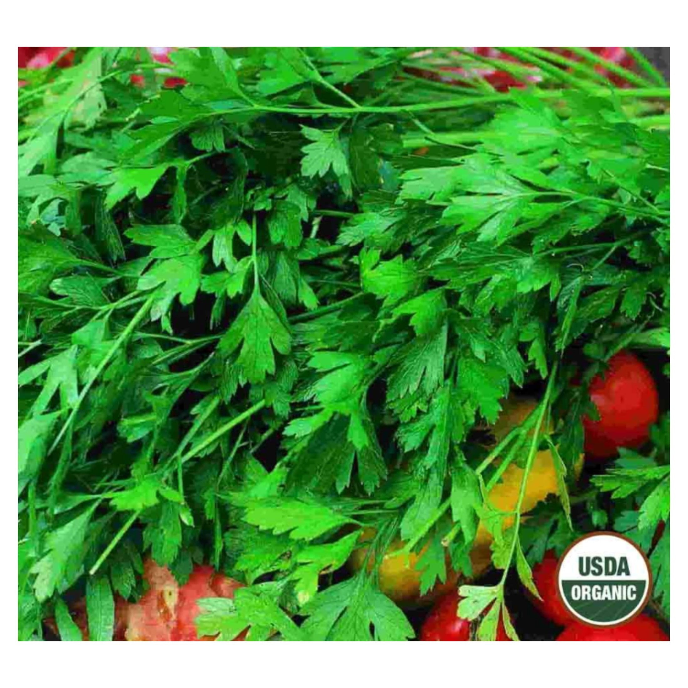 Pennington Ultra Grow Parsley & Potting Soil Bundle 2.5 lb, 8 Qt. Bag