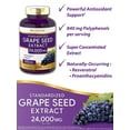 thumbnail image 6 of Grape Seed Extract | 24000 mg | 240 Capsules | For Men and Women | by Carlyle, 6 of 7