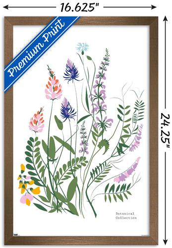 Botanical Collection - Wild Flowers Wall Poster, 14.725" x 22.375" Framed
