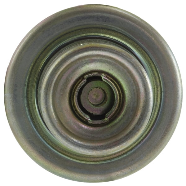 Fuel Injection Pressure Regulator