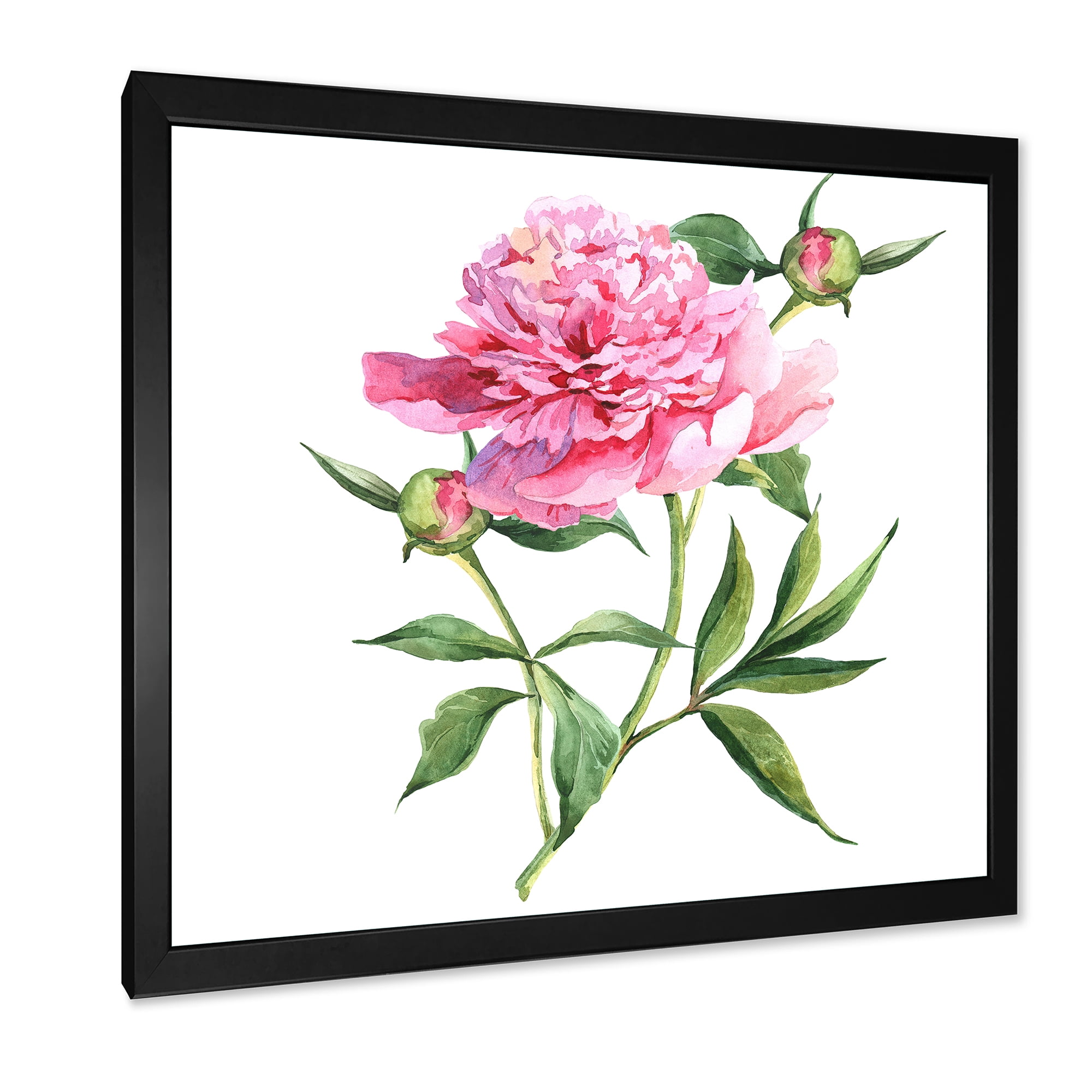 Designart 'Ancient Pink Peonies' Traditional Framed Art Print