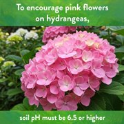Down To Earth All Natural Fertilizers Prilled Garden Lime, 5 lb Box