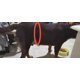 thumbnail image 3 of Arnés Perros Con Displasia Fracturas O Seniles Una Pieza., 3 of 7